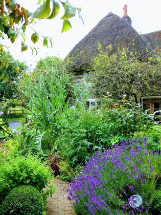 Gallery - Tudor Cottage Bed & Breakfast Dorchester
