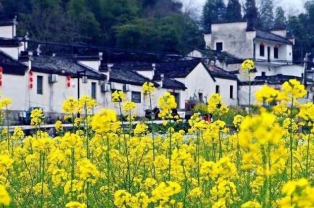 Gallery - Huangshan Xishan Wutongqinyuan
