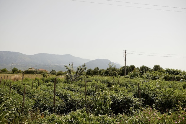 Gallery - Il Vecchio Frantoio