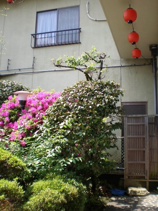Gallery - Uetoh Ryokan