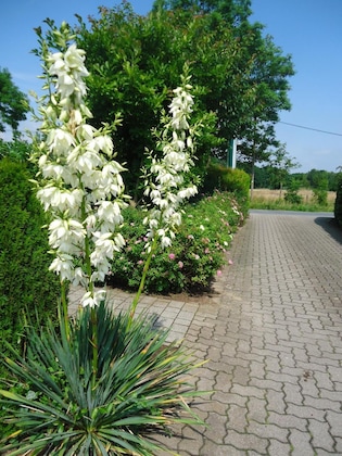 Gallery - Das Fritz Hotel