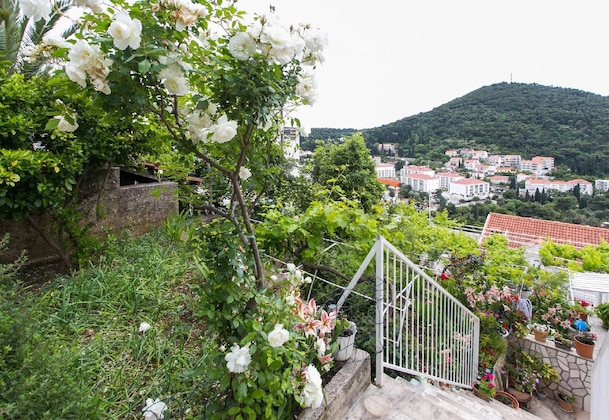 Gallery - Apartments Zore Glavinic