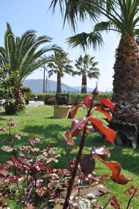 Gallery - Ariadnes Holiday Accommodation Ii