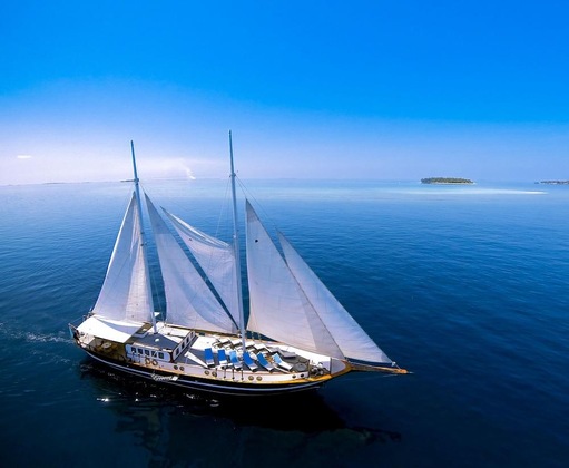Gallery - Dream Voyager