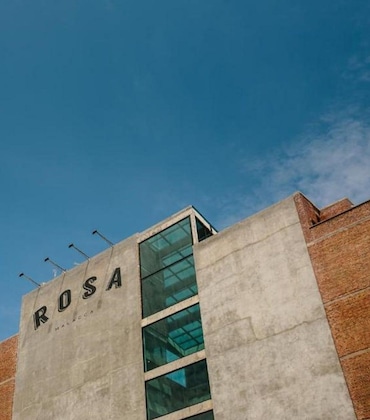 Gallery - Rosa Malacca