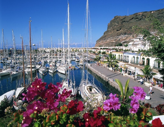 Gallery - Cordial Muelle Viejo