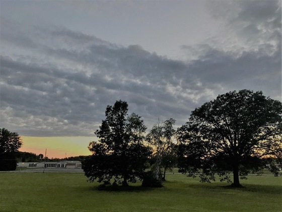 Gallery - Quality Inn Houghton Lake Mi