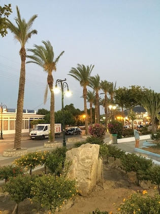 Gallery - Bivalvia Beach Plus