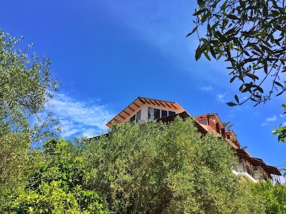 Gallery - Margarita Apartments