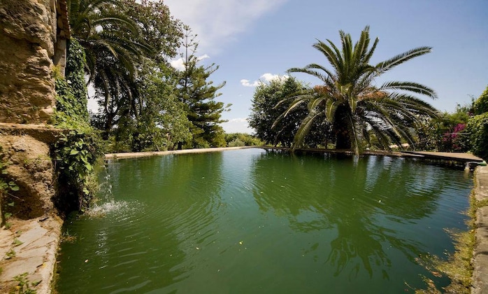 Gallery - S'hort Den Carrio