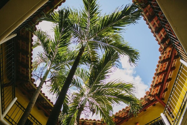 Gallery - Royal Level At Occidental Cozumel - All Inclusive