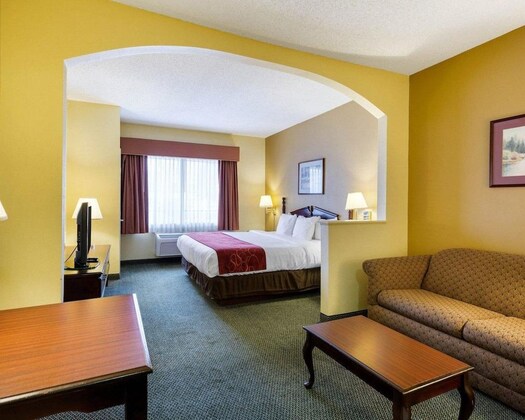 Gallery - Comfort Suites Bush Intercontinental Airport