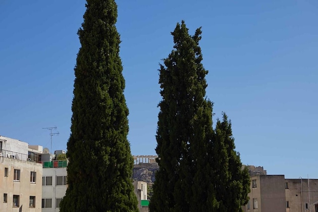 Gallery - The Artist Athens