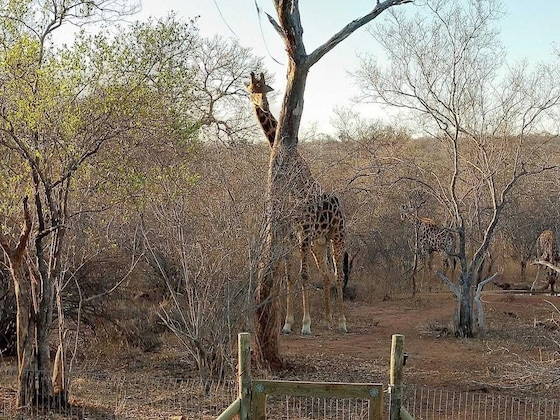 Gallery - Call Of The Wild Lodge