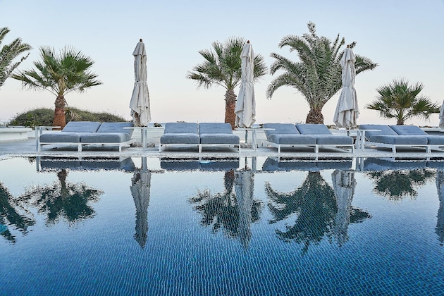 Gallery - Petri Suites