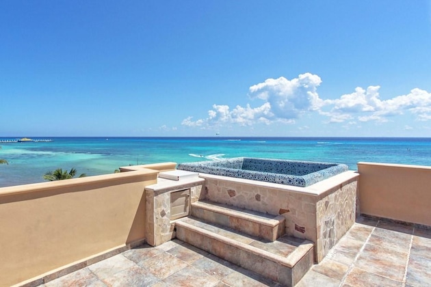Gallery - Faro Reef 401 By Nas