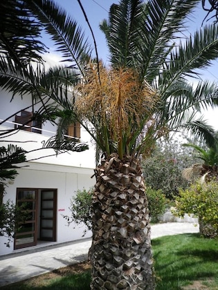 Gallery - Mastorakis Hotel And Studios