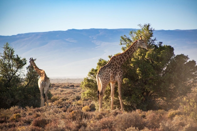 Gallery - Kuganha Tented Camp