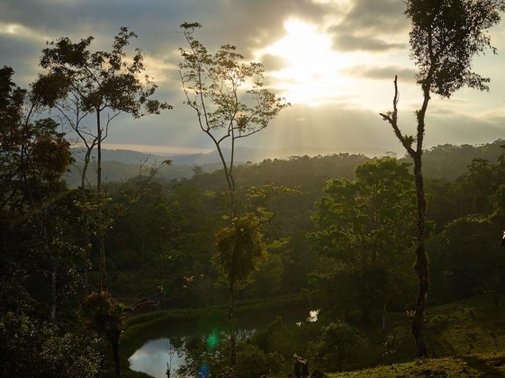 Gallery - Origins Lodge