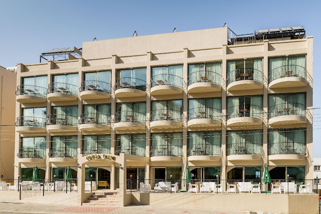Gallery - Olivia Palm Hotel