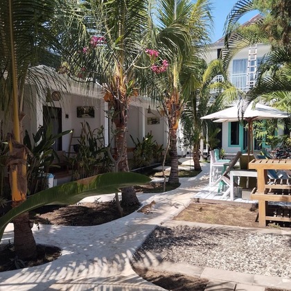 Gallery - Palm Trees Villas