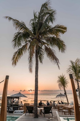 Gallery - Ohana's Beachfront Resort & Beach Club