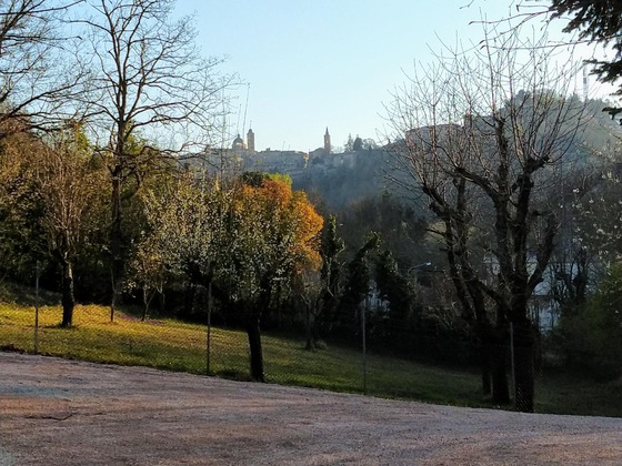 Gallery - B&B Il Torchio
