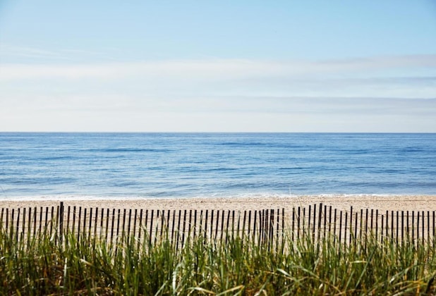Gallery - Marram