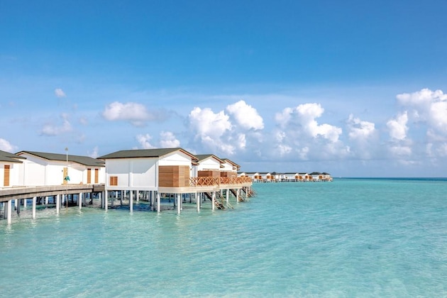 Gallery - Joy Island