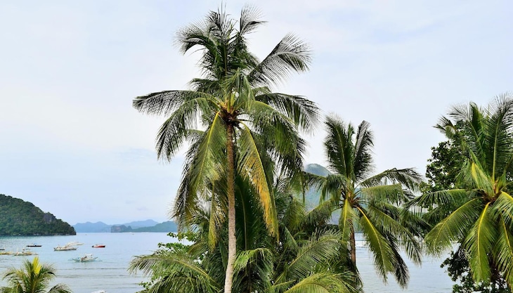 Gallery - AngelNido Resort