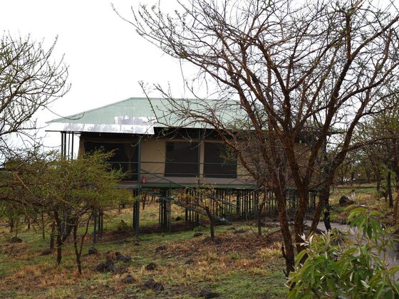 Gallery - Ngorongoro Wild Camp