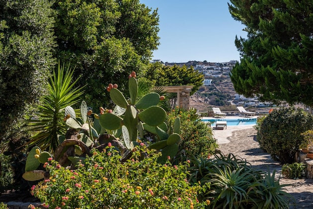 Gallery - Yalos Mykonos Private Apartments Ornos Pouli