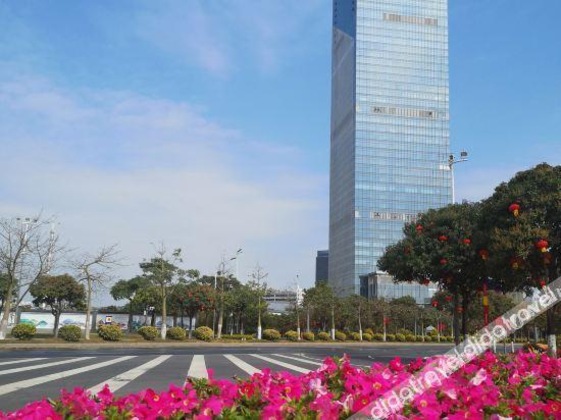 Gallery - Somerset Bio-Island Guangzhou