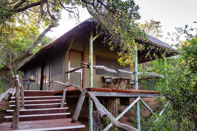Gallery - Lalibela Tree Tops Safari Lodge