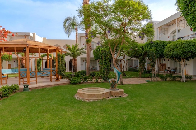 Gallery - Sierra Sharm El Sheikh