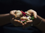 Gastronomía a bordo
