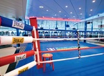 Ring boxeo Everlast