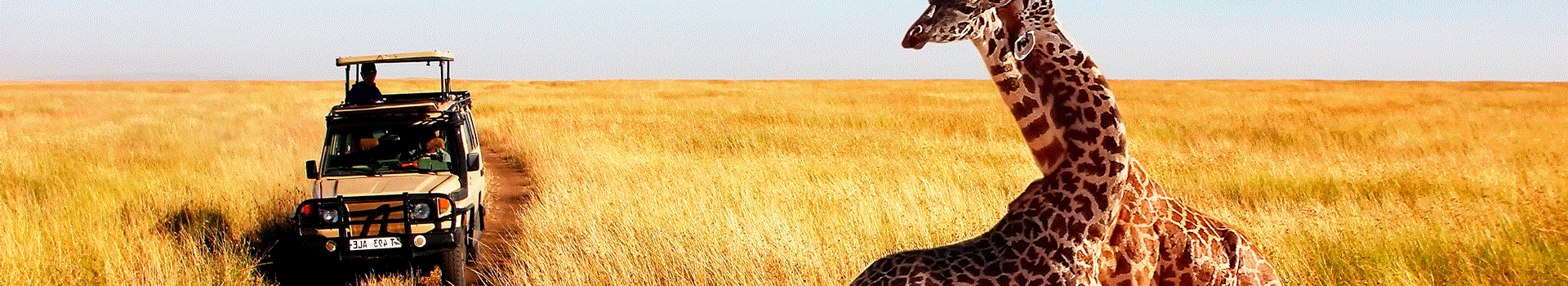 Safaris