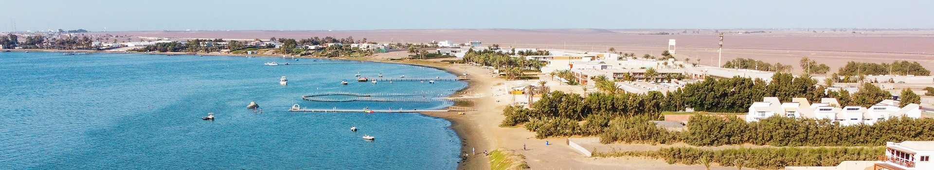 Tours Paracas