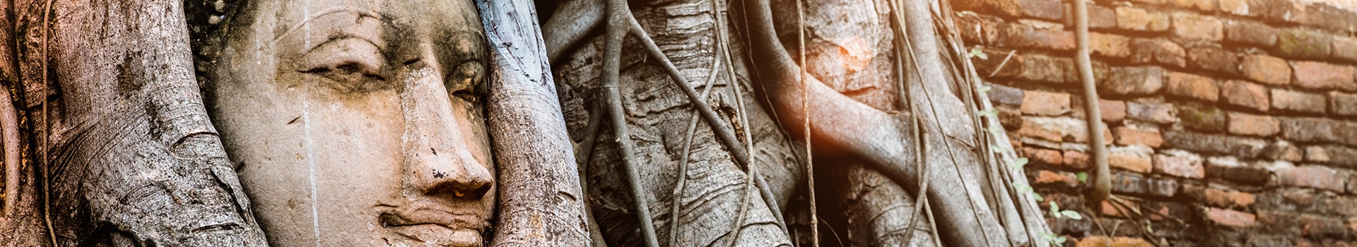 Tours Naturaleza Ayutthaya