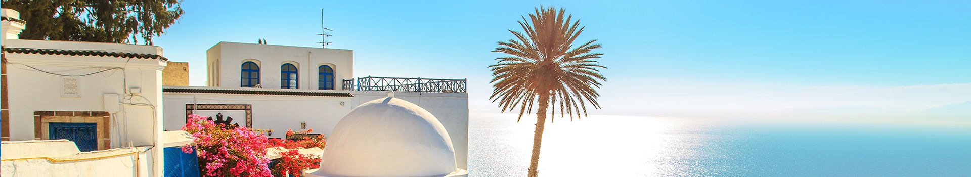 Tours Sidi Bou Said
