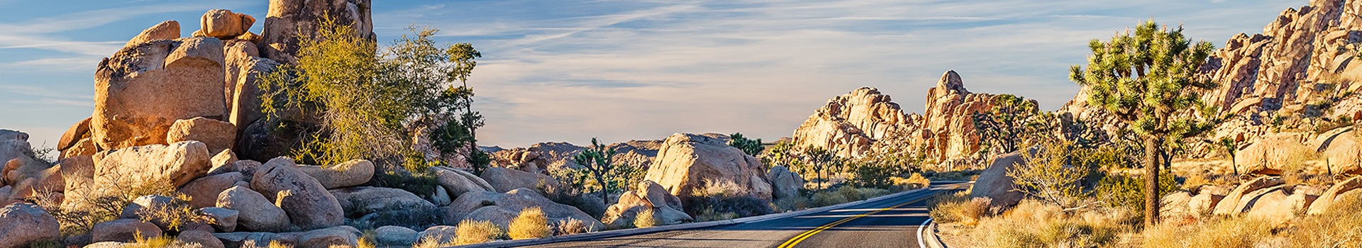 Rutas En Auto Mojave - Ca
