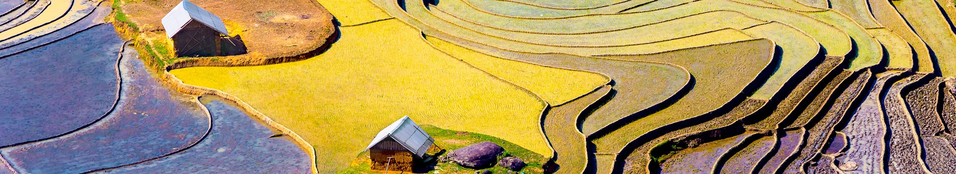 Viajes A Vietnam