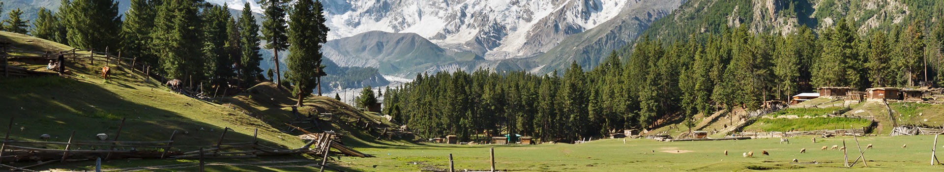Pakistán