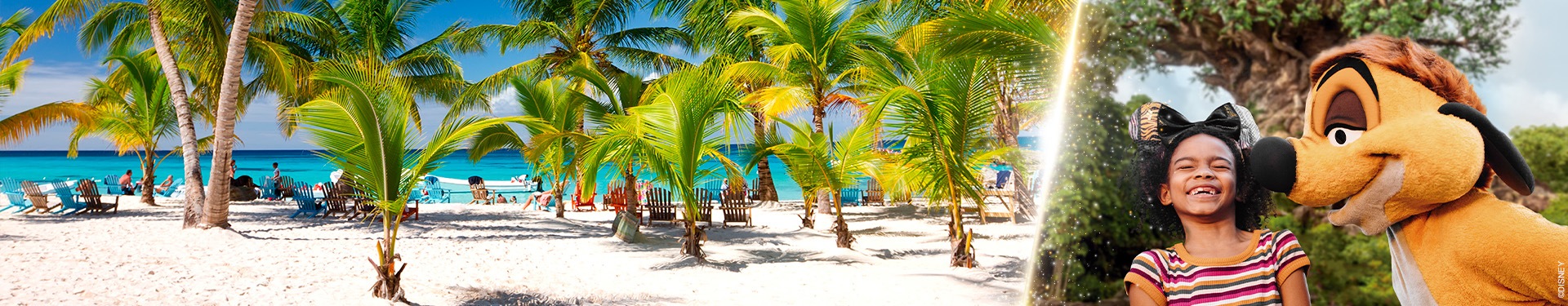Walt Disney World Orlando y Punta Cana