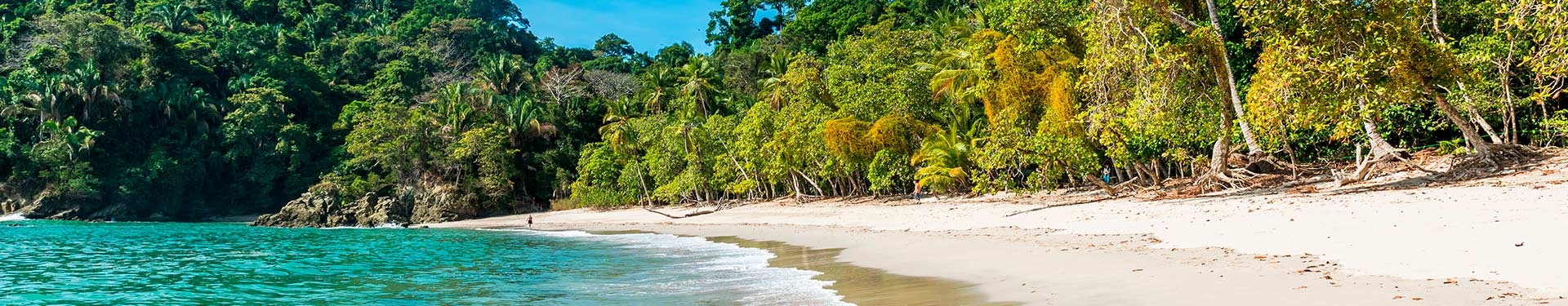 Tortuguero, Arenal, Monteverde y Manuel Antonio