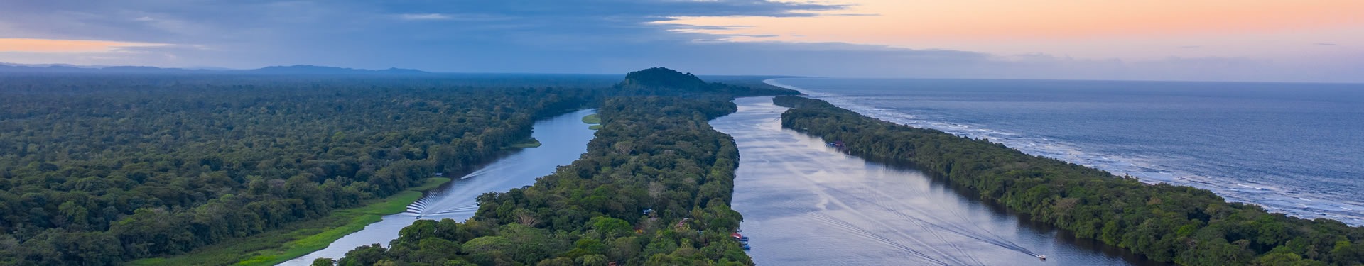 Tortuguero, Arenal, Monteverde, Manuel Antonio y noche en San José