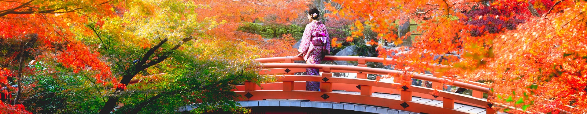 Del Sur al Norte de Japón y Koh Samui