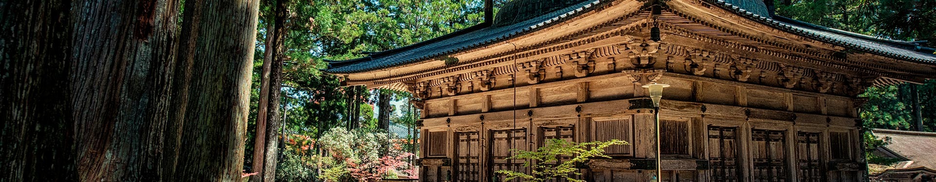 Osaka, Koya, Nikko, Tokio y Kioto