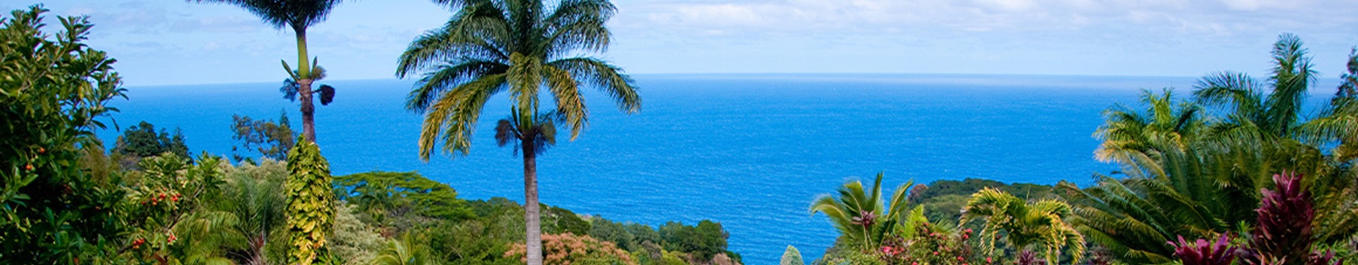 Nueva York, Honolulu (O'ahu) y Los Ángeles